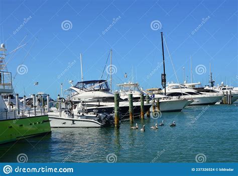 Marina At The Gulf Of Mexico Key West On The Florida Keys Stock Photo