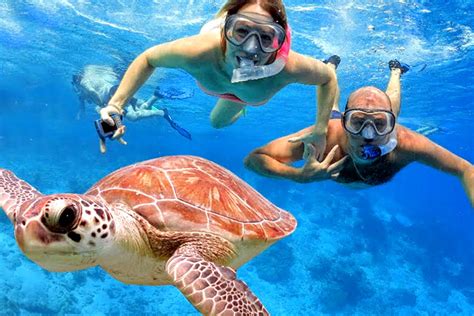 Snorkeling By Bali Best Adventure Diskon 50 Harga Tiket Masuk