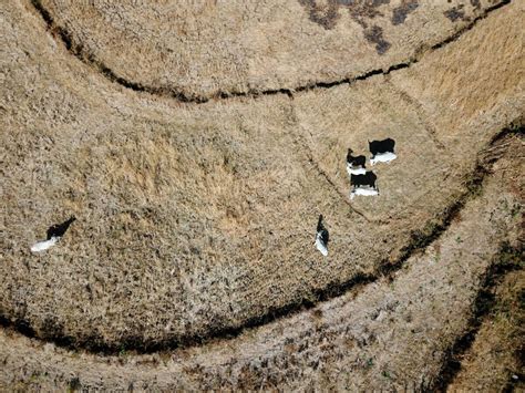 Antisipasi Dampak El Nino Petani Di Jateng Diimbau Tunda Masa Tanam