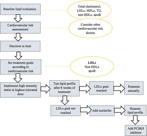 Dyslipidemia Algorithm