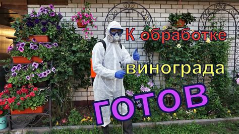 Виноград . Баковая смесь. Средства защиты .Обработка . - YouTube