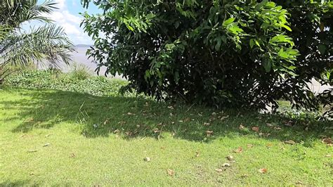 That S Why I Love To Stand With My Legs Open Breeze Amateur Amateur Porn XHamster