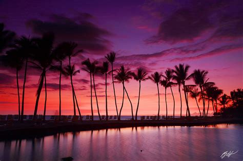 H030 Sunset Afterglow And Palm Trees Big Island Hawaii Randall J