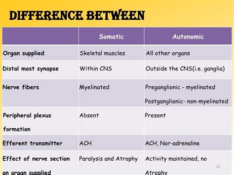 Physiology of ANS