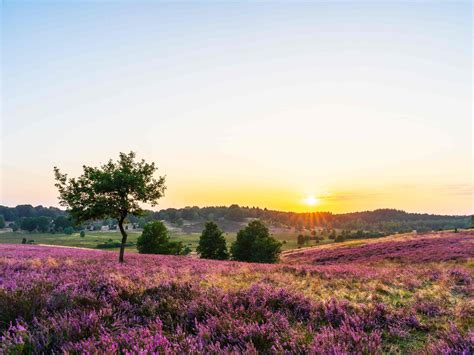 Nordheide: Karte, Tipps & Infos für die Region | ADAC Maps
