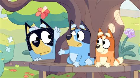 Bluey Abc Iview