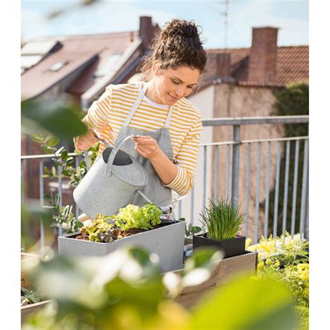 Pi Kne Kwiaty Bez Wysi Ku Skrzynki Balkonowe Lechuza Balconera