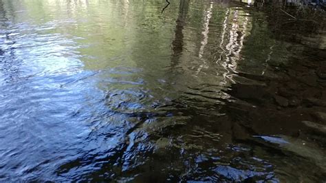 Video Of Merrill Lake Campground Wa From Dan M Youtube