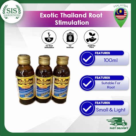 Penggalak Akarhormon Pengakaran Penggalak Akar Exotic Exotic Thailand