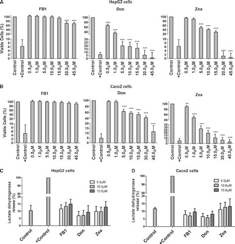 Cell Viability Of Cultured HepG2 And Caco 2 Cells Exposed To Different