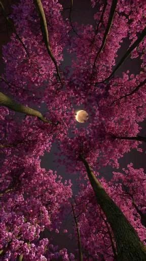 Pin on красивая природа