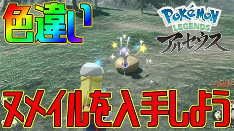 【ポケモンアルセウス】色違いヌメイルを入手しよう【pokémon Legends アルセウス】 Youtube