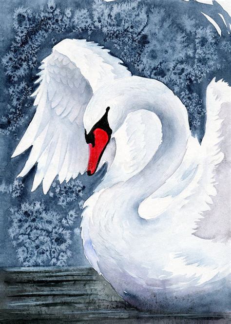 Acuarela De Un Elegante Cisne Blanco Con Sus Alas Stock de ilustración