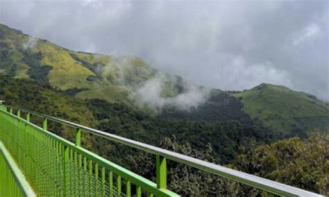 All About Glass Bridge Wayanad You Must Know - Tourld