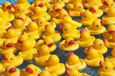 Rubber Ducks Party Favour Pack Yellow Atelier Yuwa Ciao Jp