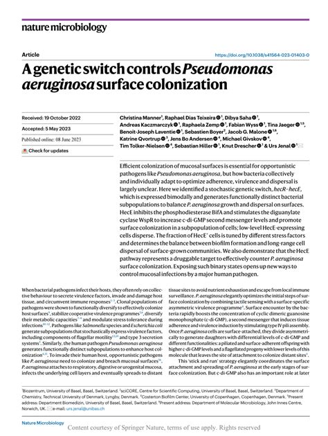 A Genetic Switch Controls Pseudomonas Aeruginosa Surface Colonization