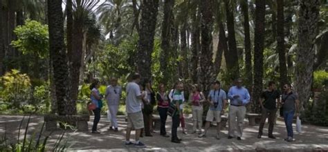 Elche Es El Tercer Destino Que Escogen Los Cruceristas De Cartagena