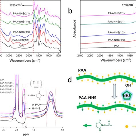 Ftir Spectra Of Paa And Paa Nhs Esters In The Range Of 4000−400 Cm −1