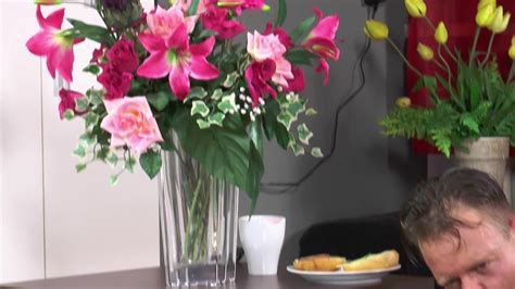 Deutsche Sex Stars Deutschland Porno Adult Dvd Empire