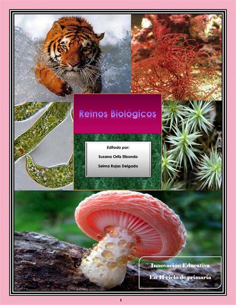 Los 5 Reinos Biologicos