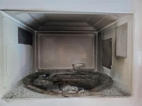 So my microwave caught fire in the off season. : r/GoRVing