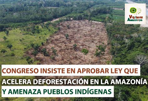 Congreso insiste en aprobar Ley que acelera la deforestación en la