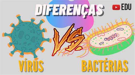 Qual a Diferença entre Vírus e Bactérias Animação YouTube