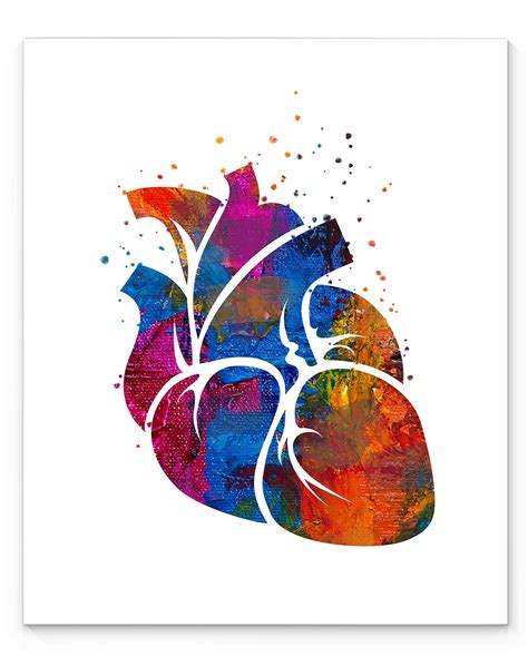 Heart Anatomy Watercolor Print Abstract Medical Art The, 51% OFF