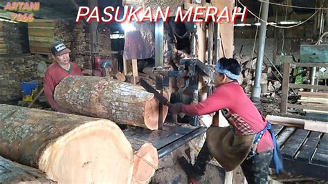 SAWMILL WOOD KAYU STO MERAH SIMAK TERUS PROSESNYA GAESS YouTube