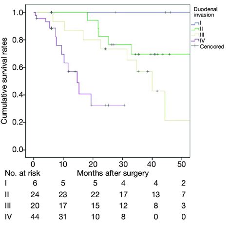 Kaplan Meier Survival Curves For Patients With Stratifications Of