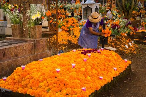 Flores De Cempasuchil Usadas Para El Día De Los Altares Muertos Foto de