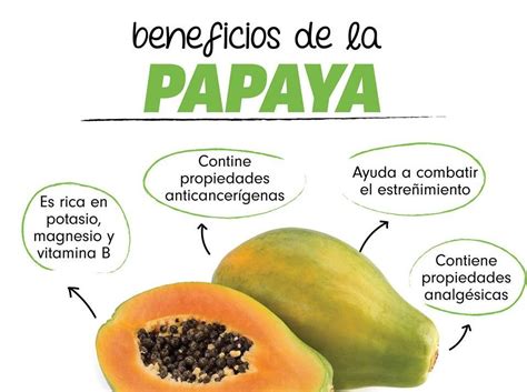 Propiedades De La Papaya Beneficios De La Papaya Beneficios De