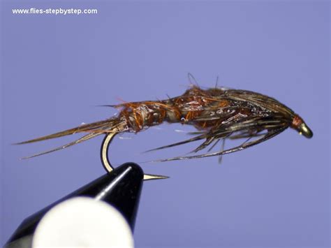 Stonefly Nymph Pattern How To Tie Fly Fly Tying Step By Step