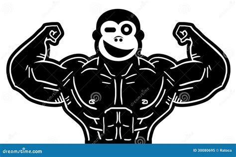 Monkey With Weights Vector Illustration | CartoonDealer.com #36313828