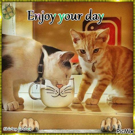 Cat And Dog Enjoy Your Day Animated Image Morning Good Morning Good