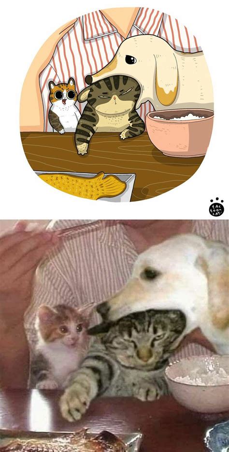 Viral cat memes are transformed into purr fect cat illustrations new pics – Artofit