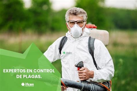 ¿qué Buscar En Una Empresa De Fumigación Ifcen