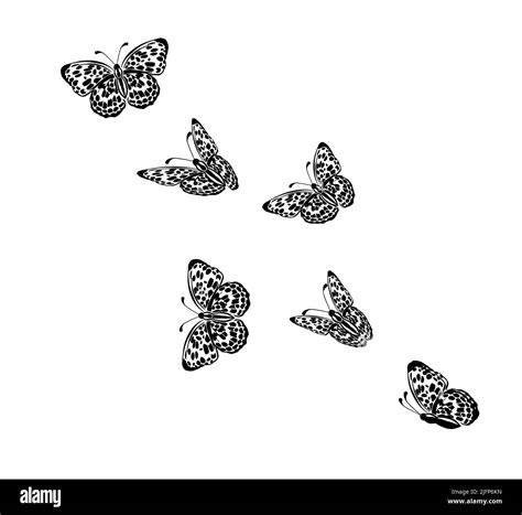 Flying Monochrome Butterflies Vector Illustration Stock Vector Image