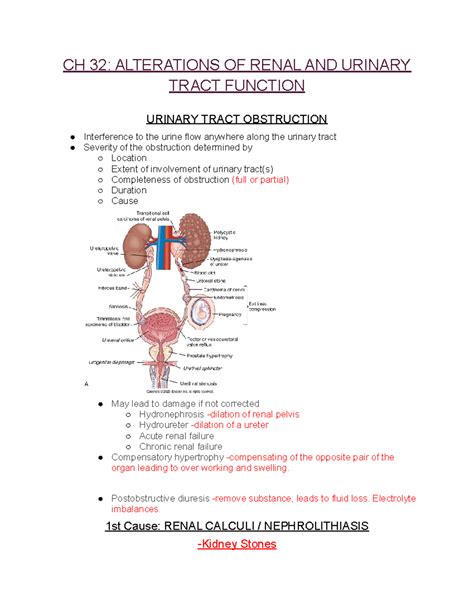 CH 32 Alterations OF Renal AND Urinary Tract Function CH 32