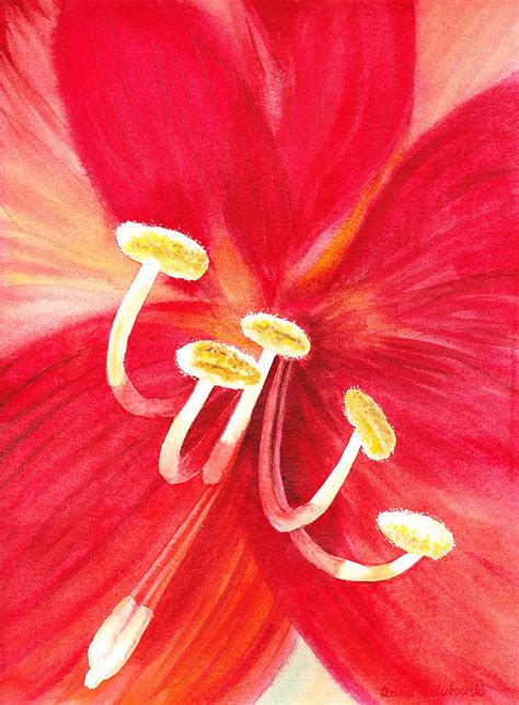 Amaryllis Flower Painting by Irina Sztukowski - Fine Art America