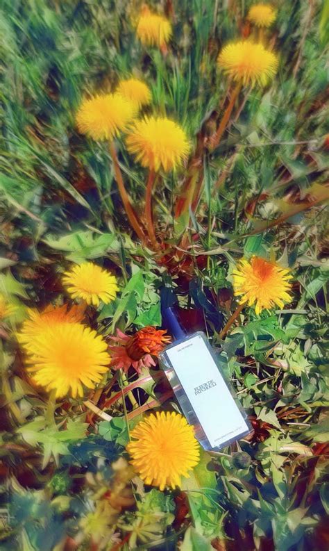 Fleur de Patchouli Zara perfume - a fragrance for women and men 2019