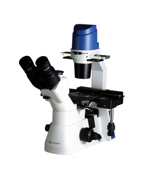 Euromex Inverted Microscope Oxion Inverso Ox Plphf Lfc