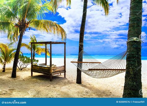 Relaxing Tropical Holidays With Hammock Under Palm Tree Mauritius