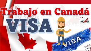 Visa De Trabajo En Canad Diciembre