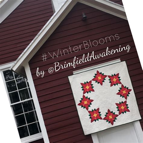 Winter Blooms Quilt Tutorial • Brimfield Awakening