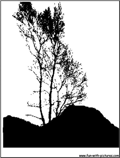 Mountain Trees Silhouette