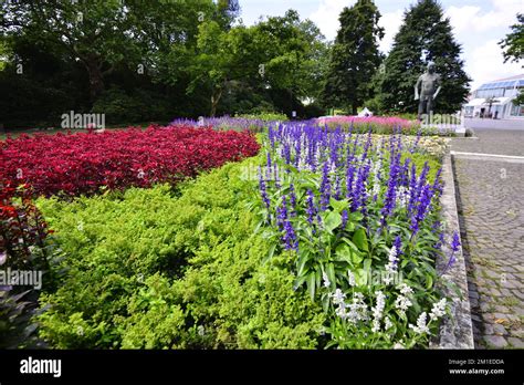 Beautiful And Colorful Annual Flower Garden Grugapark Germany Stock