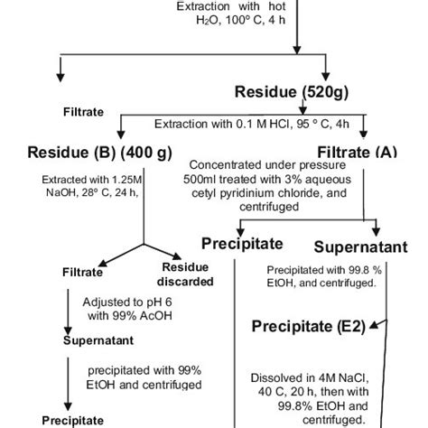 A Schematic Presentation For The Extraction And The Fractionation Of Download Scientific