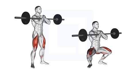 Barbell Zercher Squat Guide Benefits And Form