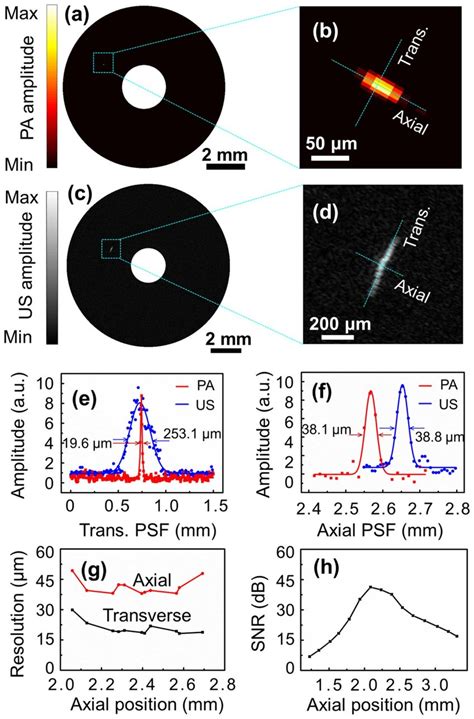 The Spatial Resolutions Of Photoacoustic And Ultrasonic Imaging Of